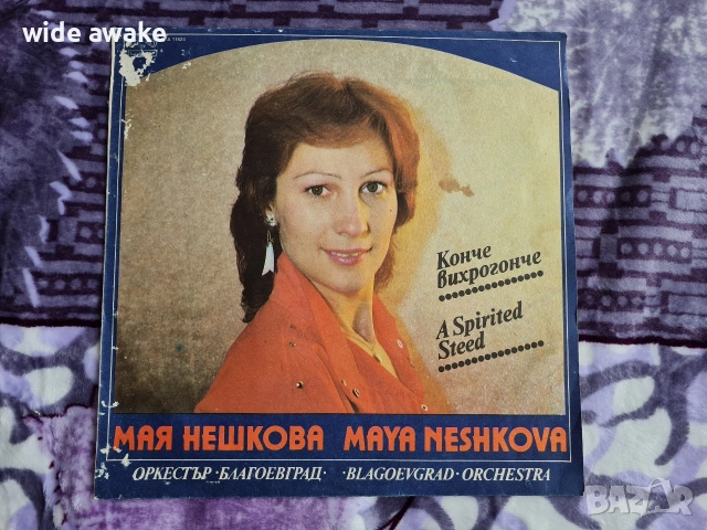 Грамофонни плочи, снимка 12 - Грамофонни плочи - 54913171