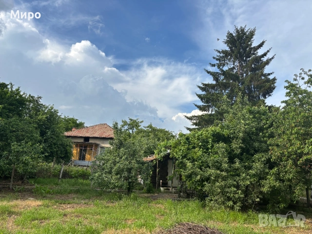 Дворно място от собственик, снимка 5 - Парцели - 54775203