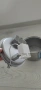 Фонтан за котки, снимка 3