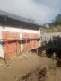 топлоизолация от скеле със собствено скеле, снимка 14