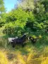 Продавам скопени пръчове ИЗГОДНО !, снимка 1