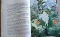 Снежната царица и други приказки, снимка 5