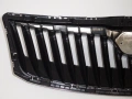 Предна решетка за Skoda Octavia 2 Facelift, снимка 2