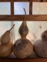 Декоративни кратунки , снимка 2