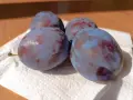  Сладки, големи, сочни и много вкусни сливи „Стенли“, снимка 1