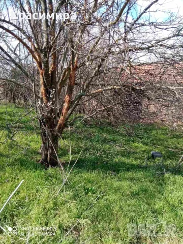 Парцел със стара къща с. Оряхово, община Любимец