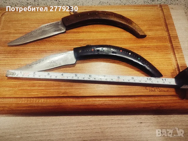 Големи Габровски Сойки Етъра, снимка 4 - Други ценни предмети - 55546286