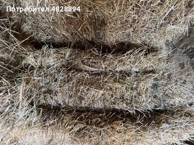 1. Бр 10 евро който иска дами се обажда0876844507