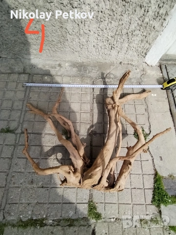 Корени за аквариум и терариум , снимка 7 - Аквариуми - 54393274