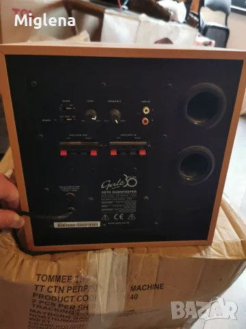 Активен субуфер Gale 3070 Subwoofer (100W, Hi-Fi), снимка 2 - Тонколони - 55393704
