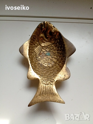 пепелник риба