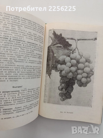 Ампелография 1976г., снимка 2 - Специализирана литература - 55420349