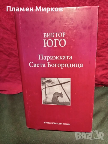 Роман "Парижката Света Богородица" 