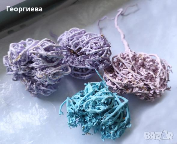 Ерихонска роза