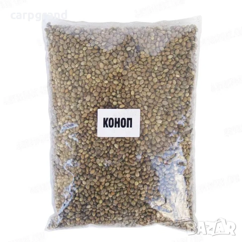 Коноп конопено семе за риболов, снимка 5 - Стръв и захранки - 52754630