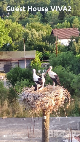 Guest House VIVA2, снимка 6 - Почивки на море - 54756126