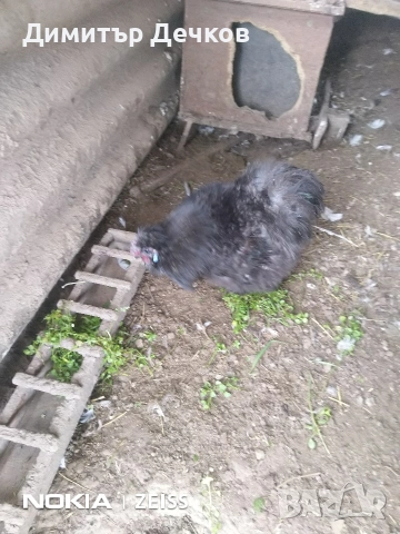 2 бр петлета, снимка 6 - други­ - 54057737