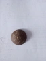 Царско копче , снимка 1