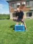Продавам трицветни гончета, снимка 8