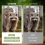  Lutranstra камера за дива природа, снимка 6