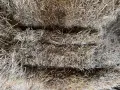 1. Бр 10 евро който иска дами се обажда0876844507, снимка 1