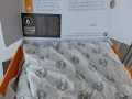 TIMBERLAND WHITE LEDGE MID LC WATERPROOF-Чисто Нови-№45, снимка 13