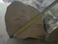 Предлагам сух чемшир, снимка 4