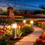 Соларни Инокс външни лампи за трева със LED светлини, снимка 1