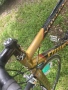 Stevens vuelta world champion, снимка 11