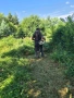 Услуги косене почистване на парцели от трева и храсти, снимка 4