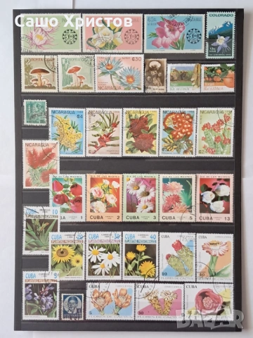 Пощенски марки тема ”Растения”., снимка 7 - Филателия - 53981322