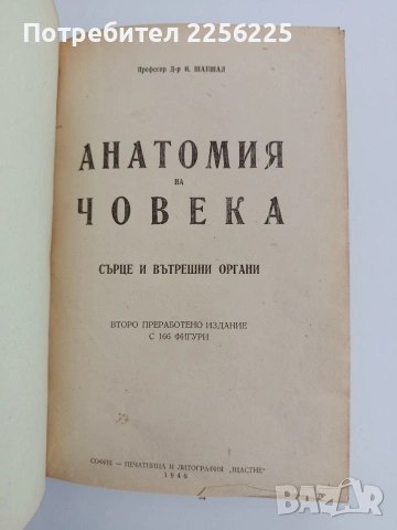 Анатомия на човека - сърце и вътрешни органи/ артерии, вени и лимфни съдове
