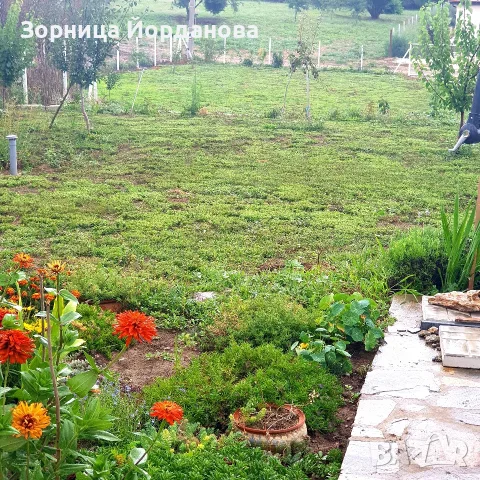 Място за каравана/кемпер в Езерец – 50 €/месец, целогодишно