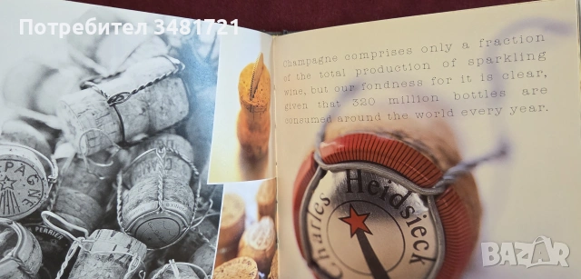 Пенливо - книга за шампанското и пенливите вина / Bubbly. Enjoying Champagne and Sparkling Wine, снимка 4 - Кулинария - 55065021