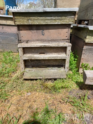 Кошери с магазини , снимка 5 - За пчели - 54596879