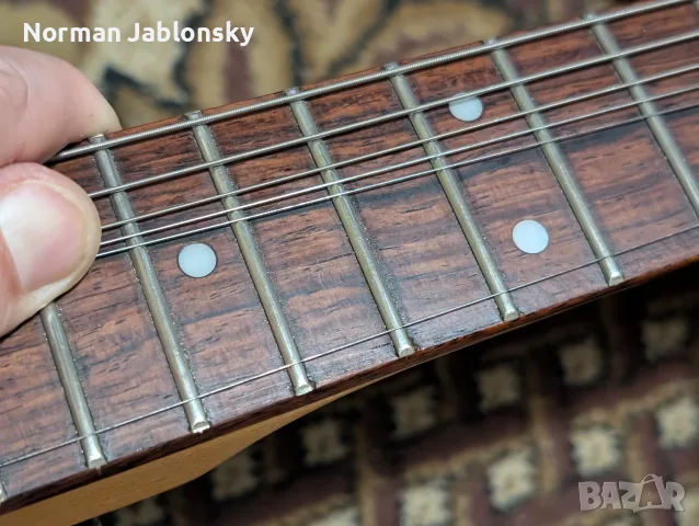 Peavey Raptor Special, снимка 10 - Китари - 55546403