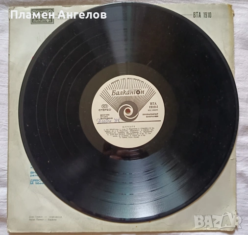 Грамофонна плоча Щурците 1976г. Балкантон, снимка 4 - Грамофонни плочи - 53716322