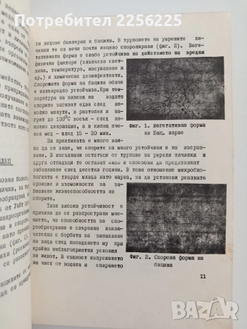 Гнилцови заболявания на пчелното пило, снимка 4 - Специализирана литература - 54790677