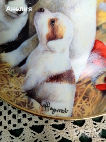 Чинии за стена Джак Ръсел , снимка 2 - Декорация за дома - 54254842