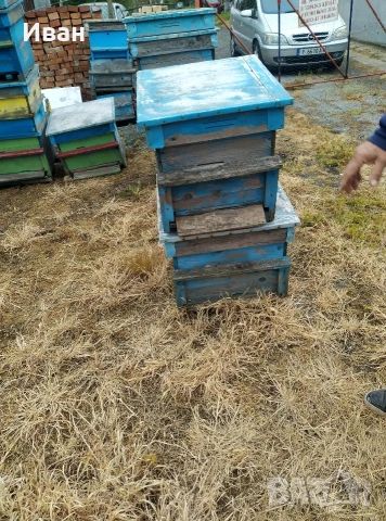 празни кошери, снимка 4 - За пчели - 54395500
