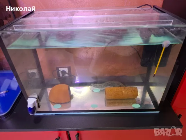 Продавам акселотъл с аквариум 