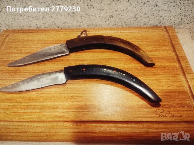 Големи Габровски Сойки Етъра, снимка 15 - Други ценни предмети - 55546286