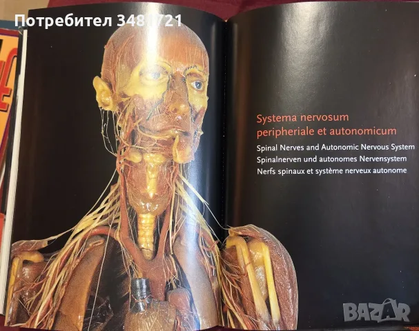 Encyclopaedia Аnatomica, снимка 14 - Специализирана литература - 55361424