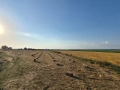 Качествено ливадно сено на топ цени!, снимка 2