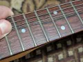 Peavey Raptor Special, снимка 10