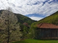 Продава къща в Родопите с.Могилица, снимка 15