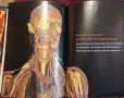 Encyclopaedia Аnatomica, снимка 14