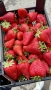 Продавам разсад ягоди , снимка 10
