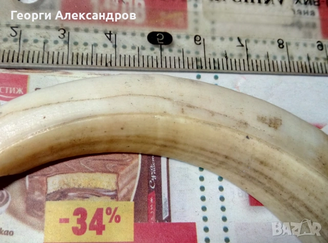 Стар Долен БИВНИК от ГЛИГАН Глигански ЗЪБ Слонова Кост / Дентин от Глиган ЛОВЕН ТРОФЕЙ, снимка 3 - Други ценни предмети - 54723549