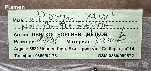 УНИКАТ КАРТИНА ЦВЯТКО ЦВЕТКОВ ЧЕРВЕН БРЯГ ПОДПИСАНА, снимка 5 - Картини - 54069422